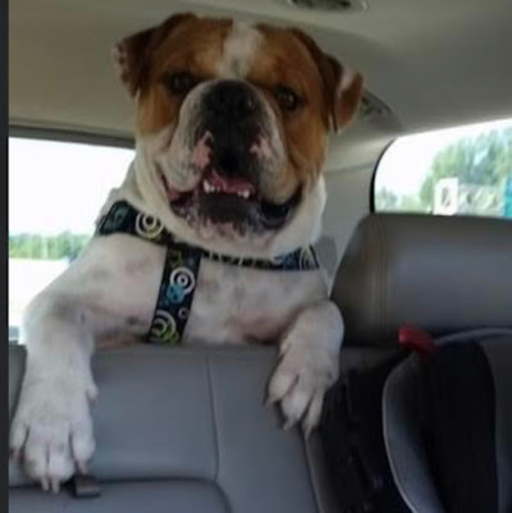 Meet your Posher, Cortney